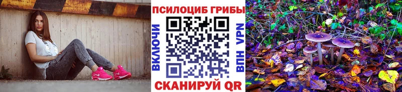 Купить  Карабаново  Галлюциногенные грибы Cubensis 
